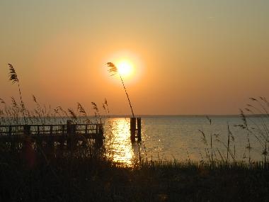 Ferienhaus in Bodstedt (Fischland-Dar-Zingst) oder Ferienwohnung oder Ferienhaus