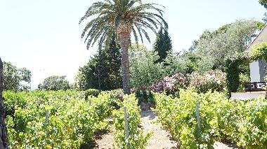 Villa in grimaud (Var) oder Ferienwohnung oder Ferienhaus