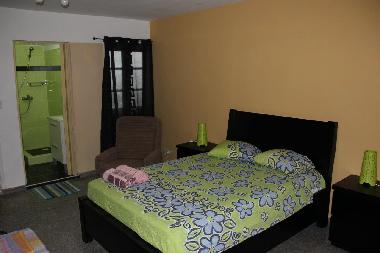 Ferienwohnung in Vedado, La Habana (La Habana) oder Ferienwohnung oder Ferienhaus