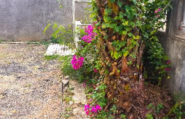 Villa in Pereybere (Pereybere) oder Ferienwohnung oder Ferienhaus