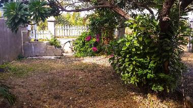 Villa in Pereybere (Pereybere) oder Ferienwohnung oder Ferienhaus