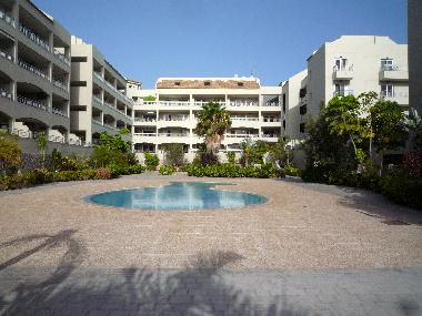 Ferienwohnung in  Los Cristianos Palm Mar (Teneriffa) oder Ferienwohnung oder Ferienhaus