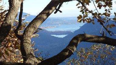 Ferienwohnung in colloro (Verbano-Cusio-Ossola) oder Ferienwohnung oder Ferienhaus