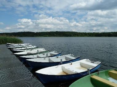 Ferienhaus in Warin (Mecklenburgische Seenplatte) oder Ferienwohnung oder Ferienhaus