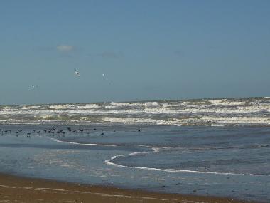 Ferienhaus in De Panne (Flandern) oder Ferienwohnung oder Ferienhaus