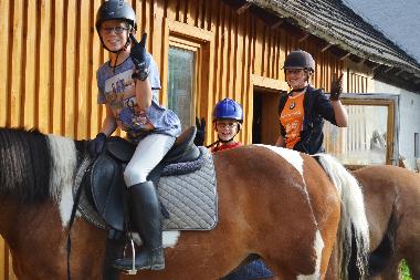 Chalet in Mariapfarr (Lungau) oder Ferienwohnung oder Ferienhaus