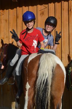 Chalet in Mariapfarr (Lungau) oder Ferienwohnung oder Ferienhaus