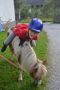 Chalet in Mariapfarr (Lungau) oder Ferienwohnung oder Ferienhaus