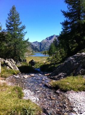 Chalet in Mariapfarr (Lungau) oder Ferienwohnung oder Ferienhaus