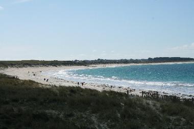 Ferienhaus in plouguin (Finistre) oder Ferienwohnung oder Ferienhaus