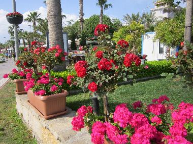 Ferienwohnung in Yali  Mahhalesi (Antalya) oder Ferienwohnung oder Ferienhaus