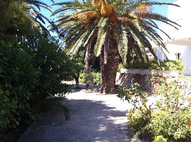 Ferienhaus in Alinda (Dodekanisos) oder Ferienwohnung oder Ferienhaus