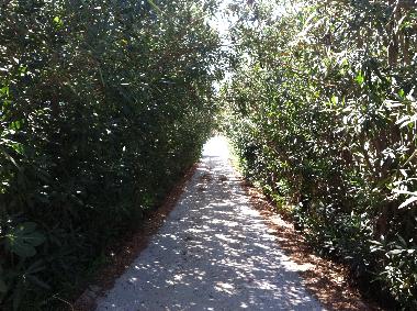 Ferienhaus in Alinda (Dodekanisos) oder Ferienwohnung oder Ferienhaus