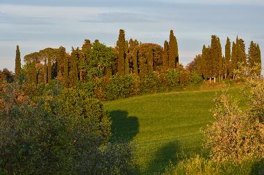 Ferienwohnung in Montaione (Firenze) oder Ferienwohnung oder Ferienhaus