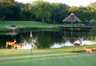 Ferienhaus in Phalaborwa (Northern Province) oder Ferienwohnung oder Ferienhaus