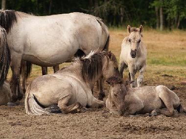 Pape Naturpark 35 km von Liepaja