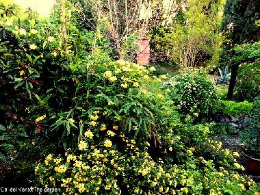 Ferienwohnung in Arcugnano (Vicenza) oder Ferienwohnung oder Ferienhaus