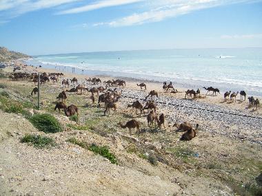 Ferienhaus in tamraght (Agadir) oder Ferienwohnung oder Ferienhaus