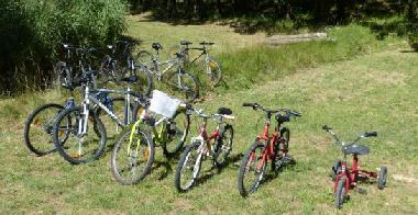 Ferienhaus in BRIGNOLES (Var) oder Ferienwohnung oder Ferienhaus