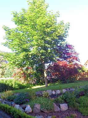 oberer Ferienwohnungsgarten