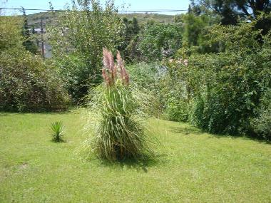 Ferienhaus in Tanti (Cordoba) oder Ferienwohnung oder Ferienhaus