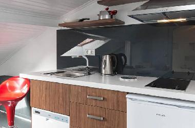 Ferienwohnung in İstanbul (Istanbul) oder Ferienwohnung oder Ferienhaus