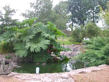 Ferienhaus in plounevez moedec (C�tes-d'Armor) oder Ferienwohnung oder Ferienhaus