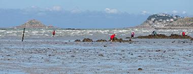 Ferienwohnung in planguenoual (C�tes-d