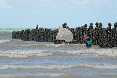 Ferienwohnung in planguenoual (C�tes-d