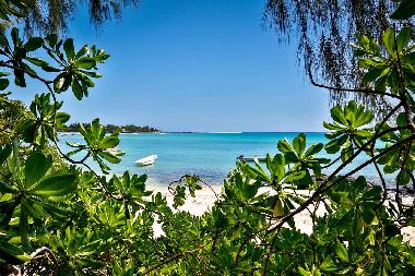 Ferienhaus in Pointe aux Canonniers (Grand Baie) oder Ferienwohnung oder Ferienhaus