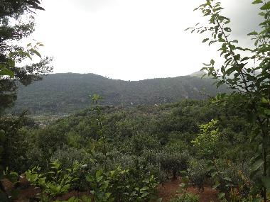 Ferienhaus in cisano sul neva (Savona) oder Ferienwohnung oder Ferienhaus