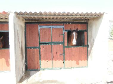 Ferienhaus in Palmela (Pen�nsula de Set�bal) oder Ferienwohnung oder Ferienhaus