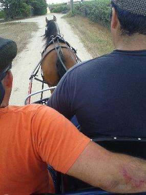 Ferienhaus in Palmela (Pen�nsula de Set�bal) oder Ferienwohnung oder Ferienhaus