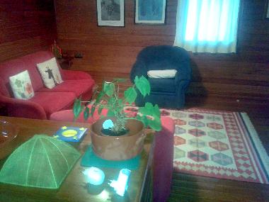 Ferienhaus in Palmela (Pen�nsula de Set�bal) oder Ferienwohnung oder Ferienhaus