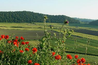 Ferienwohnung in Campagnano di Roma (Roma) oder Ferienwohnung oder Ferienhaus
