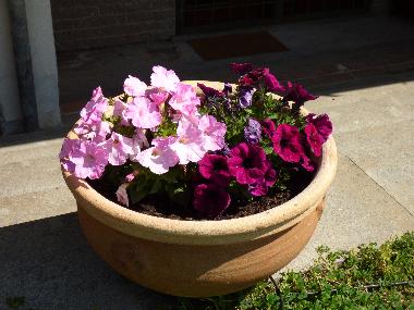 Ferienwohnung in Campagnano di Roma (Roma) oder Ferienwohnung oder Ferienhaus