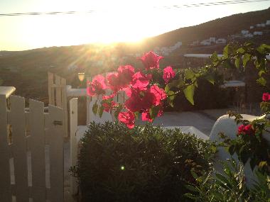 Ferienwohnung in mykonos (Kyklades) oder Ferienwohnung oder Ferienhaus