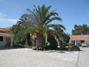 Pension in Fernao Ferro, Seixal (Pen�nsula de Set�bal) oder Ferienwohnung oder Ferienhaus