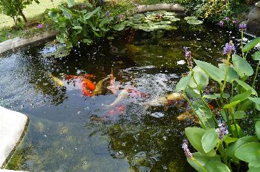 Ferienwohnung in Banjole-Medulin-Pula-Istrien-Kroatien (Istarska) oder Ferienwohnung oder Ferienhaus