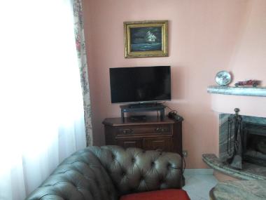 Wohnzimmer/Kamin/TVSat