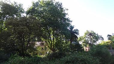 Ferienwohnung in Sintra (Grande Lisboa) oder Ferienwohnung oder Ferienhaus