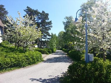 Anliegerstrasse Achtern Diek