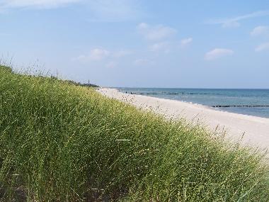 endloser wei�er Strand...