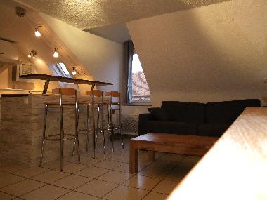 Ferienwohnung in dijon (C�te-d'Or) oder Ferienwohnung oder Ferienhaus