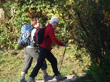 Chalet in SENONES (Vosges) oder Ferienwohnung oder Ferienhaus