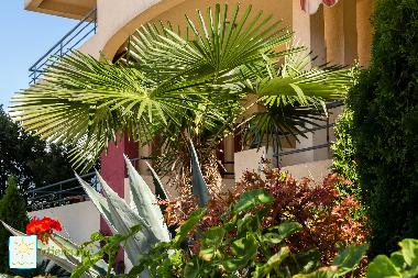 Ferienwohnung in Bar-Utjeha (Montenegro) oder Ferienwohnung oder Ferienhaus