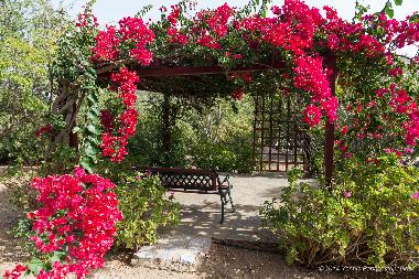 Ferienhaus in Ageranos (Lakonia) oder Ferienwohnung oder Ferienhaus