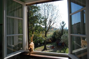 Pension in Lucca (Lucca) oder Ferienwohnung oder Ferienhaus