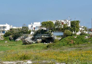 Villa in Carovigno (Brindisi) oder Ferienwohnung oder Ferienhaus