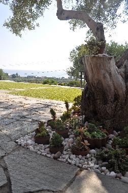 Ferienhaus in Nea Skioni (Chalkidiki) oder Ferienwohnung oder Ferienhaus